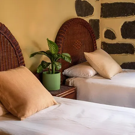 Rural Coliving Realejos