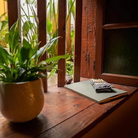 Rural Coliving Realejos * Santa Cruz de Tenerife